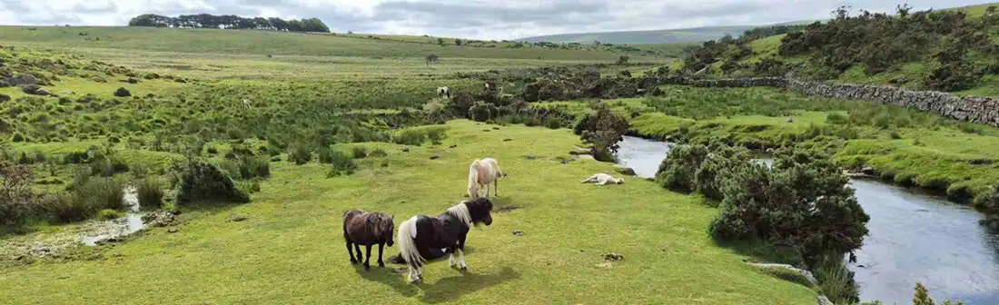 Dartmoor (© Winkler)