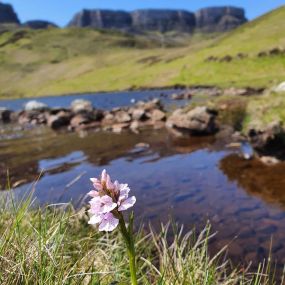 Loch Langaig, Insel Skye (Kundenbild Fam. Knorr)
