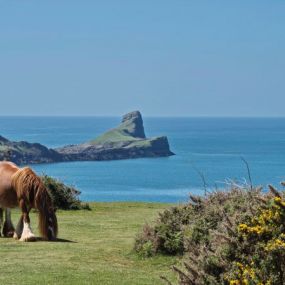 Worm's Head Rhossilli (Kundenbild A. Spanke)