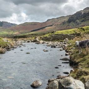 Langdale Fells