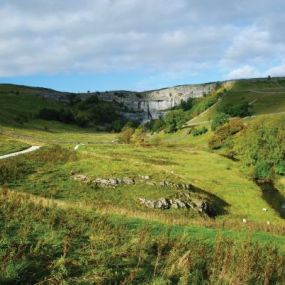 Grün soweit das Auge reicht...