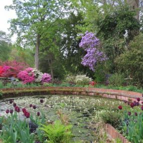 Blütenbracht in Bodnant Garden (Kundenbild Frau Saretz)