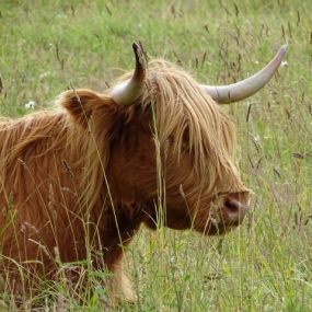 Statisten am Wegesrand