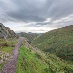 Momente in der Natur