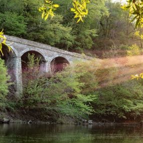 Eintauchen in die Landschaft Shropshires